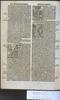 Amsterdam UB Ned.Inc. 100 (Matthew) 2 C3v