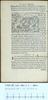 1545.NT.lat.JBa.a 1 Mm1v