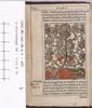's-Gravenhage KB 1714 E 34 (Matthew) 1 a2v
