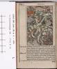 1542.NT.lat.JR.a 1 c8v