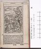 1542.NT.lat.JR.a 1 D4r