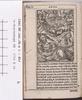 1542.NT.lat.JR.a 1 E1v