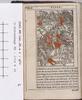 1542.NT.lat.JR.a 1 g7v