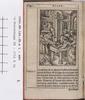 1542.NT.lat.JR.a 1 m8v