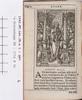 1542.NT.lat.JR.a 1 q4v