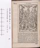 1542.NT.lat.JR.a 1 t3v