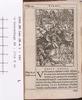 1542.NT.lat.JR.a 1 t4v