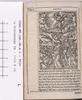 1542.NT.lat.JR.a 1 Tt3v