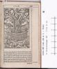 1542.NT.lat.JR.a 1 Tt6r