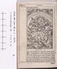 1542.NT.lat.JR.a 1 Tt7v