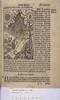 1536.NT.eng.MC.a 2 G2r