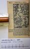Antwerpen MPM R 61.2 (I-II) (Revelation) 1 Aa6v