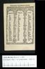 1532.NT.dut.PJ.a 1 C7v