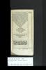 Stuttgart WLB B lat. 1543 01 (I Corinthians) 1 c5r