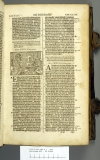 1599.B.dut.JM1.a 1 F4r