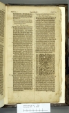 Amsterdam BVU XC.05064 (Revelation) 1 <sup>3</sup>R5r