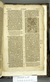 Amsterdam BVU XC.05064 (Revelation) 1 <sup>3</sup>R8r