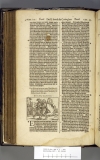 1599.B.dut.JM1.a 1 X3v
