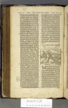 1599.B.dut.JM1.a 1 S5v