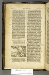 1599.B.dut.JM1.a 1 B5v