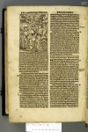 Amsterdam BVU XC 05040 (Revelation) 2 Q6v