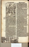 Westmalle Cisterc. 19 2 283 (Exodus) 1 d7v