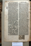 1529.NT.dut.WV.a 1 P7v