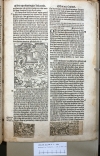 1529.NT.dut.WV.a 1 P4r