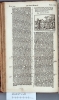 Amsterdam BVU XC.05065 (Numbers) 1 K4v