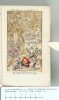Haarlem NBG 34 1715 - Stat (Hase) 1-2 (Genesis) 1 plate 02 (between A10v-A11r)