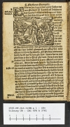 1563.NT.dut.CvdW.a 1 C8v